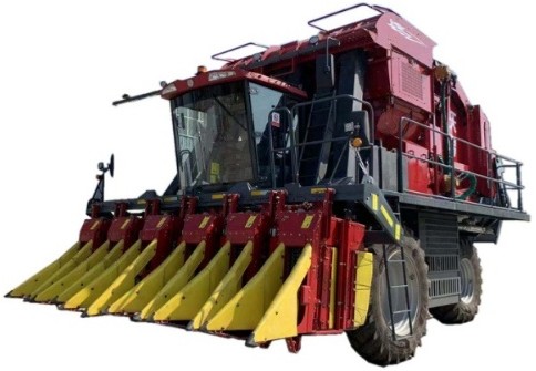 Fabric image 6